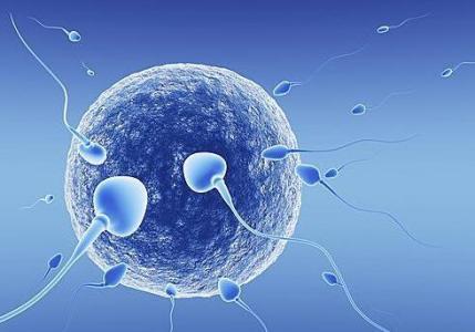 卵巢早衰致不孕，借卵代怀喜获龙凤胎