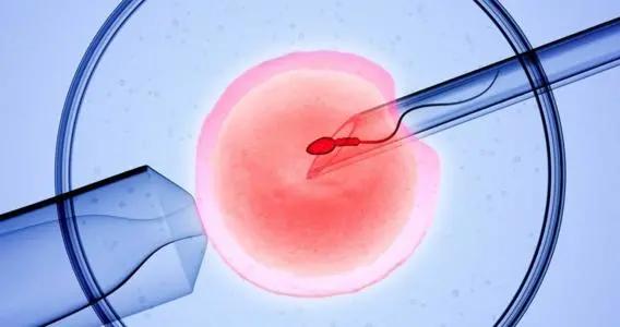 高龄女性申请精子库做人工受精的成功率大不大？